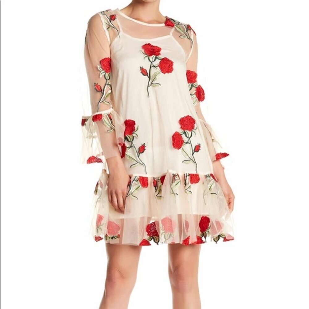 Gracia rose embroidered sheer mesh dress sz Small, no slip, new.